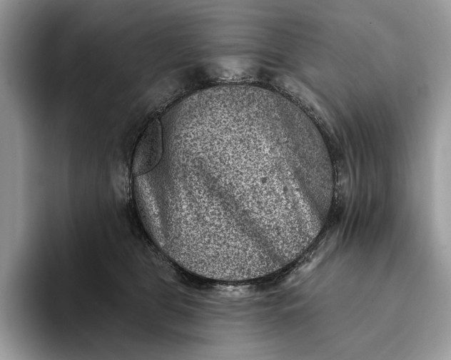 X0000093170469200710171231