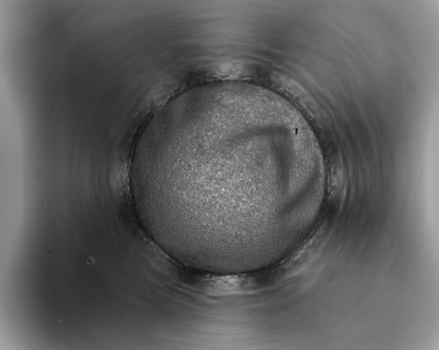 X0000093170473200710171231