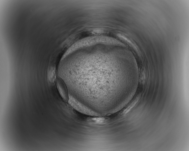 X0000093170478200710171231