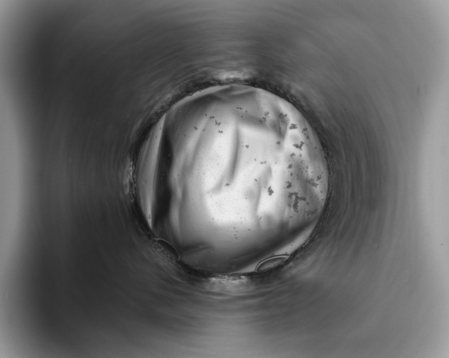 X0000093170480200710171231