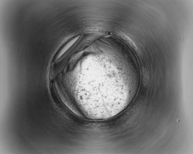 X0000093170482200710171231