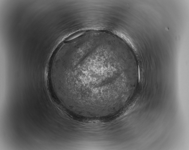 X0000093170483200710171231