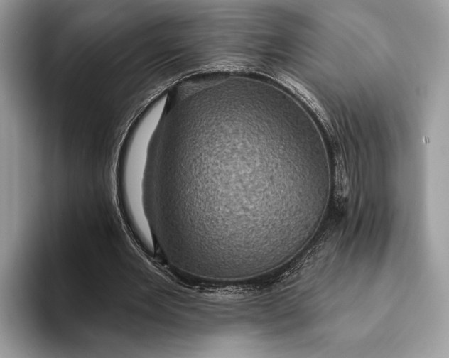 X0000093170485200710171231