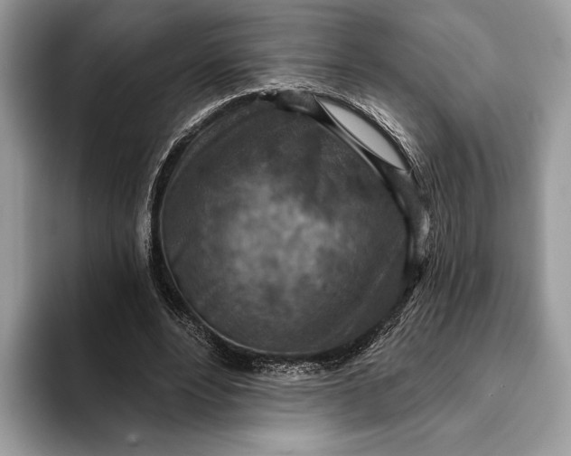 X0000093170488200710171230