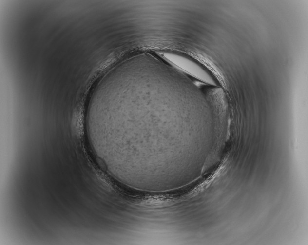 X0000093170489200710171230