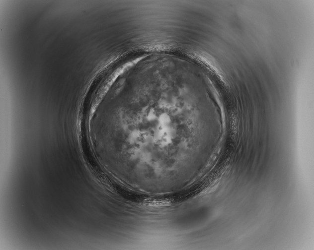 X0000093170491200710171230