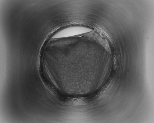 X0000093170492200710171230