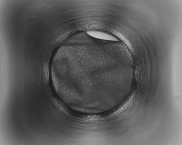 X0000093170493200710171230