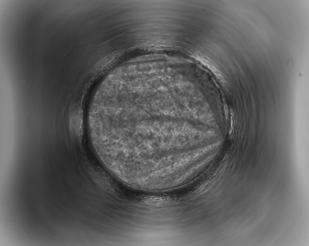 X0000093170494200710171230