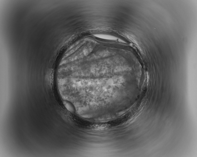 X0000093170495200710171230