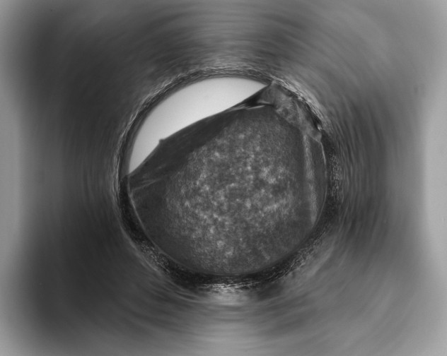 X0000093170496200710171230