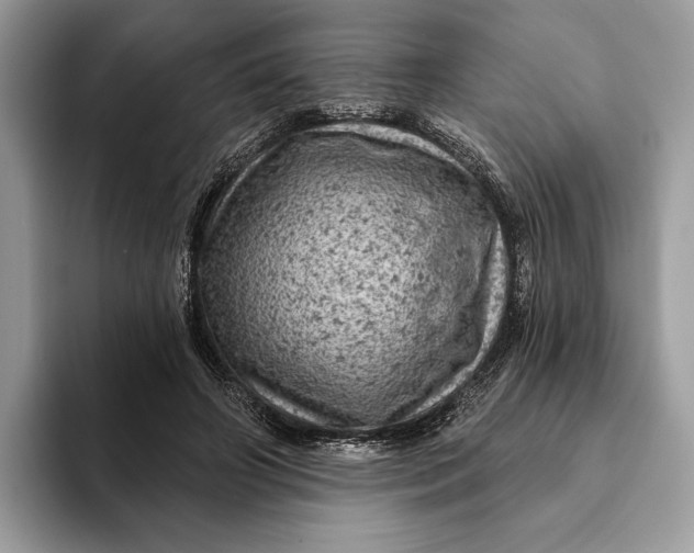 X0000093170498200710171230