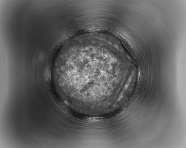 X0000093170499200710171230