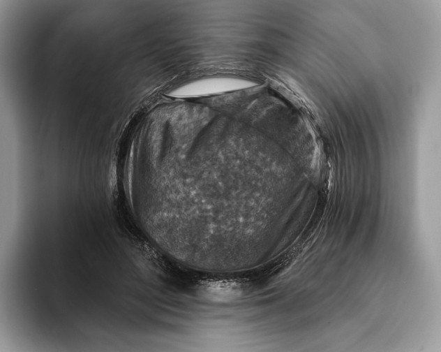 X0000093170500200710171230