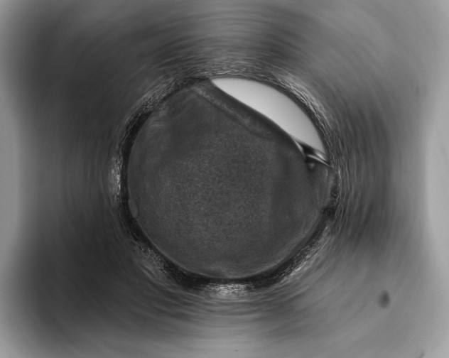 X0000093170501200710171230