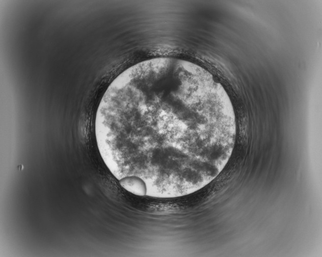 X0000093170503200710171230