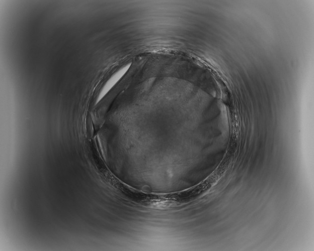 X0000093170504200710171230