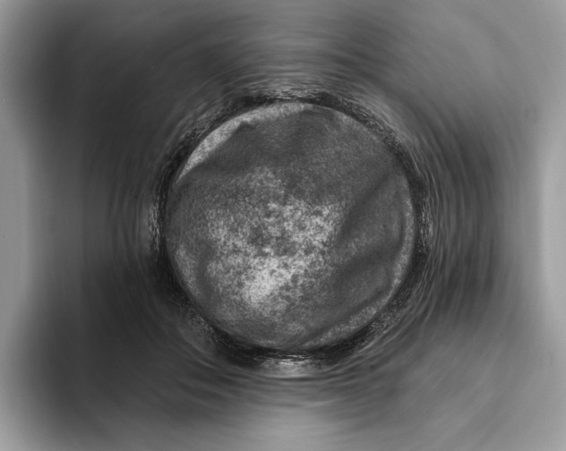 X0000093170506200710171230