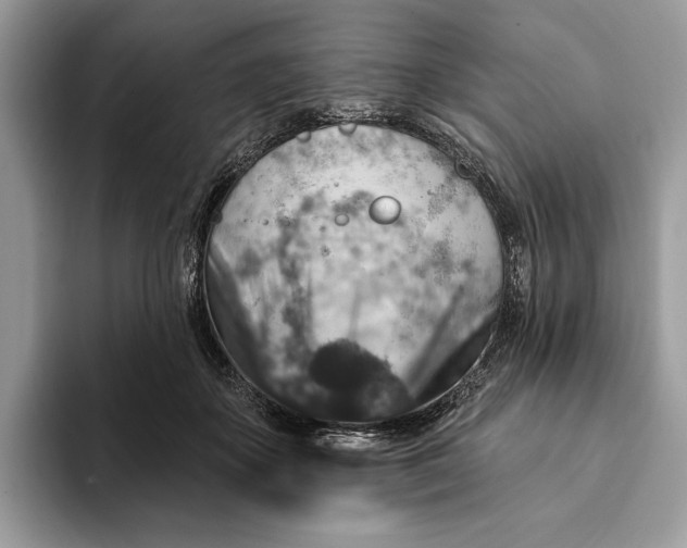 X0000093170507200710171230