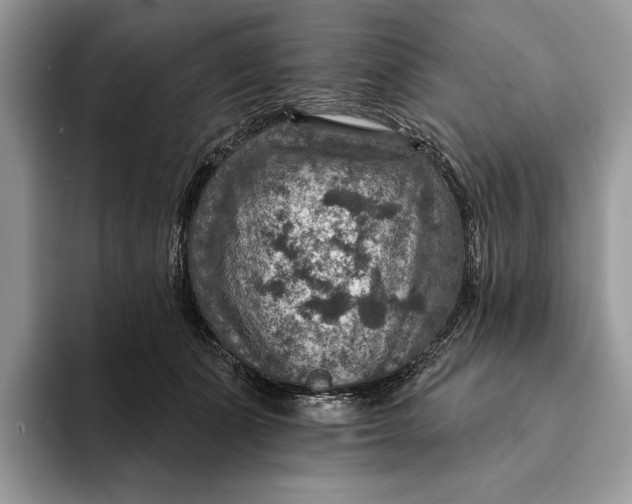 X0000093170511200710171230