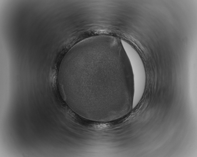 X0000093170513200710171230