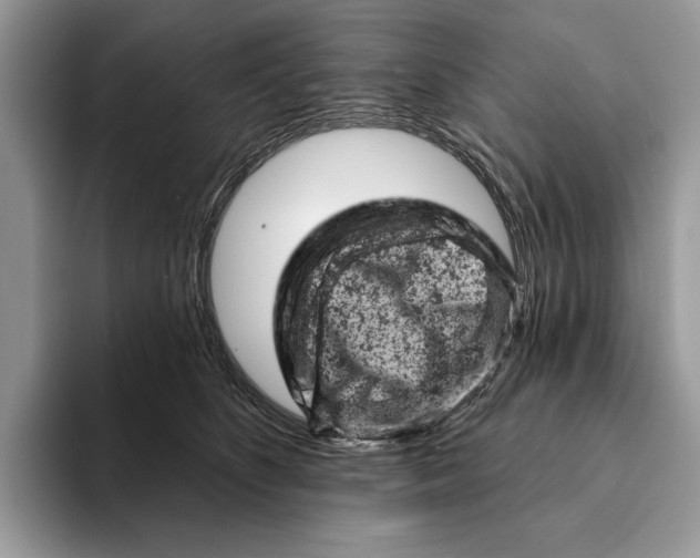 X0000093170516200710171230