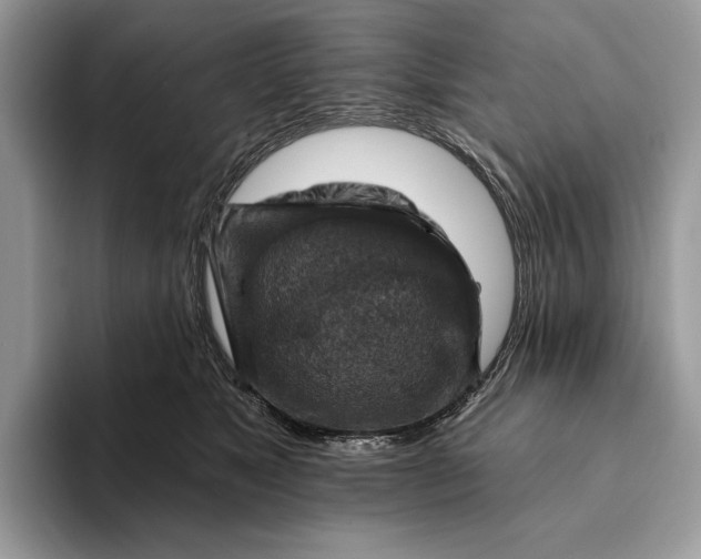 X0000093170517200710171230