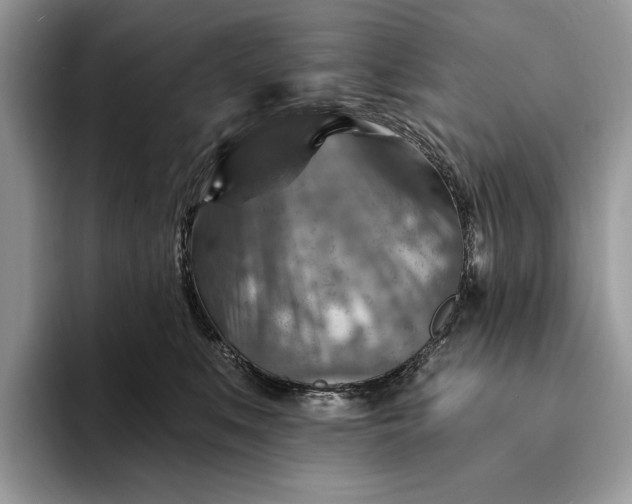 X0000093170519200710171230