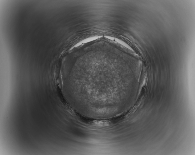 X0000093170520200710171230