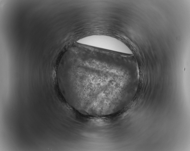 X0000093170523200710171230