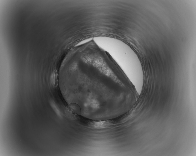 X0000093170527200710171230