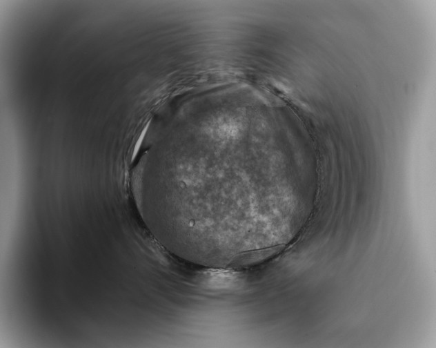 X0000093170528200710171230