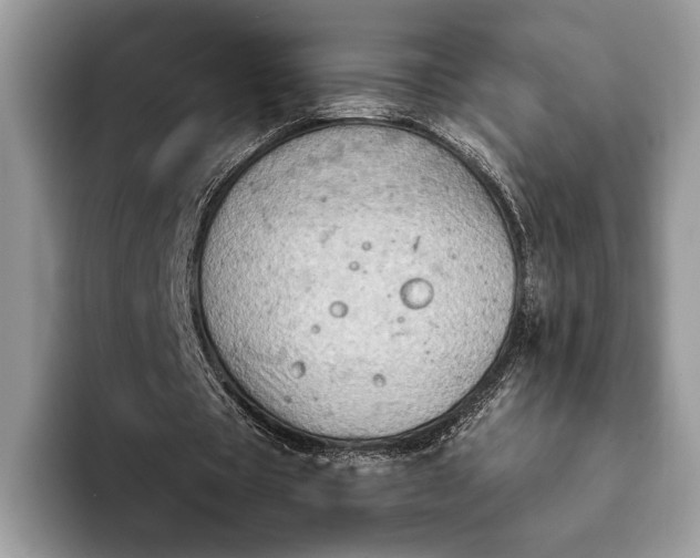 X0000093170529200710171229