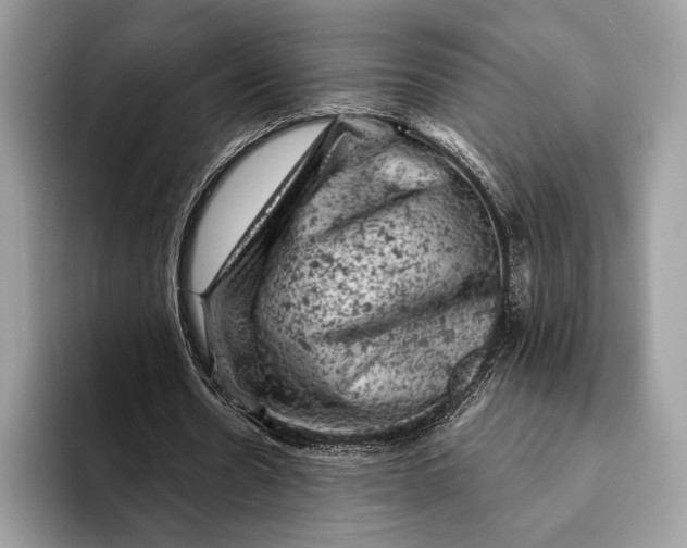 X0000093170530200710171229