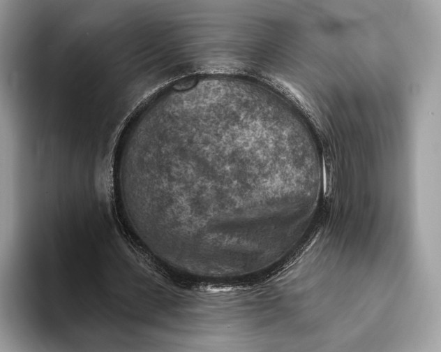 X0000093170531200710171229