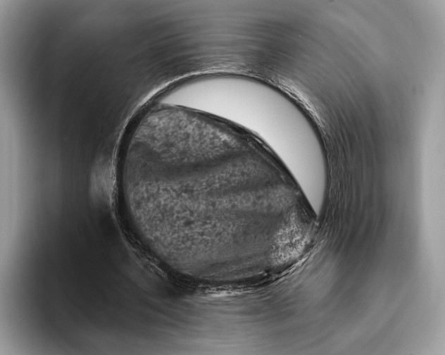 X0000093170532200710171230