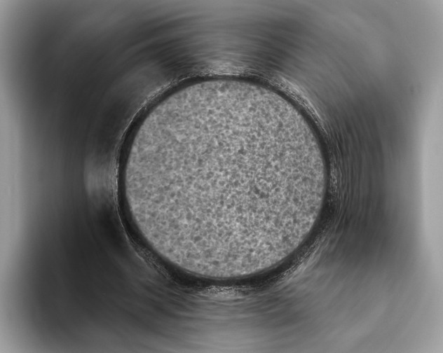 X0000093170534200710171230