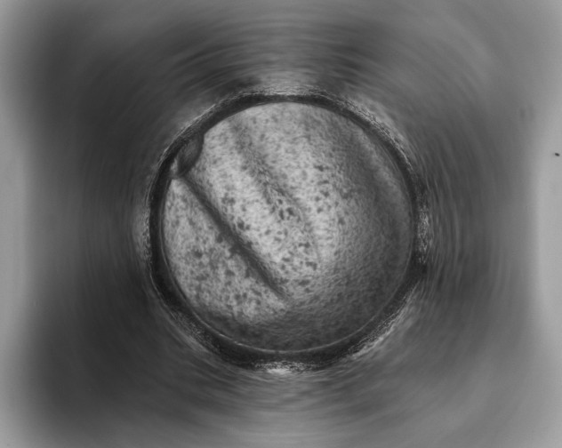 X0000093170535200710171230