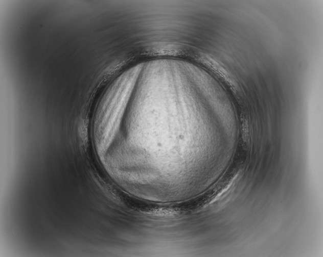 X0000093170537200710171230