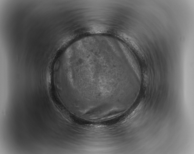 X0000093170539200710171230