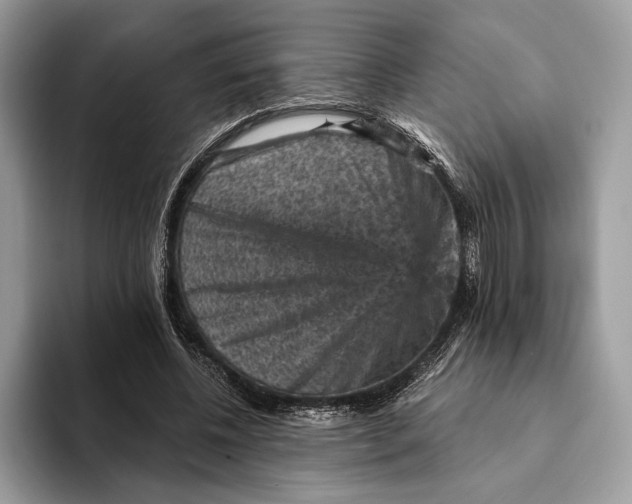 X0000093170540200710171230