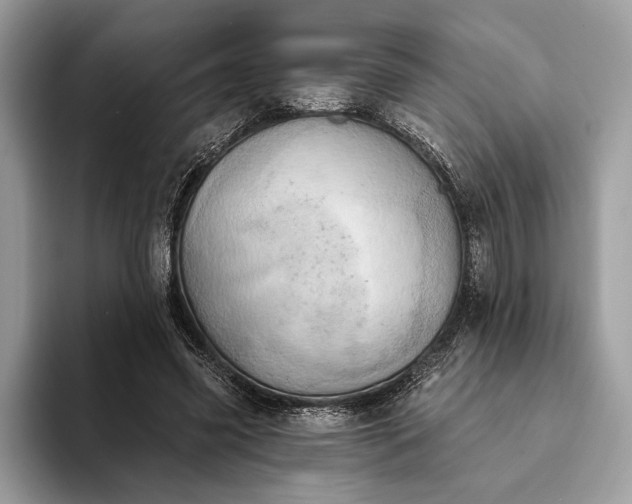 X0000093170541200710171230