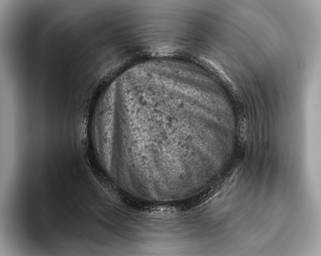 X0000093170543200710171230