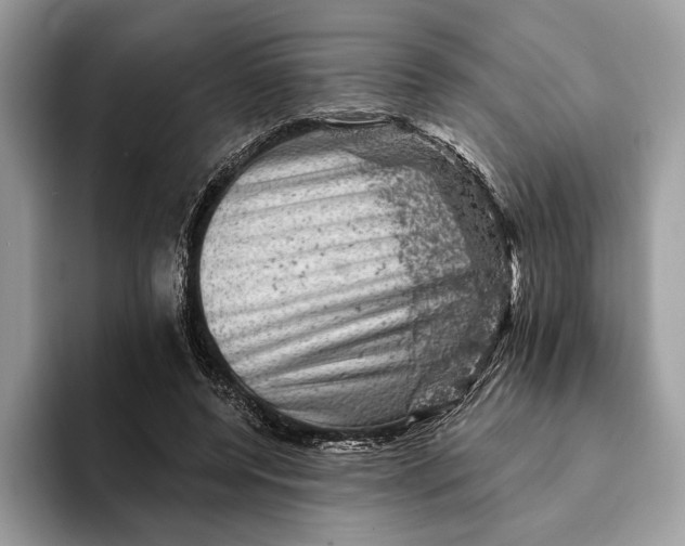 X0000093170544200710171230