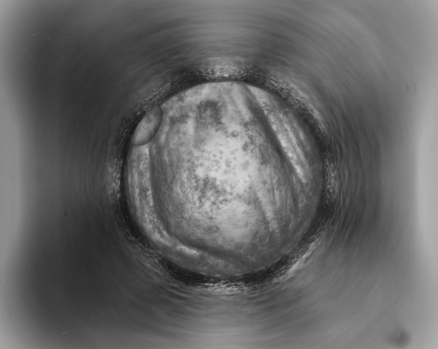 X0000093170545200710171230