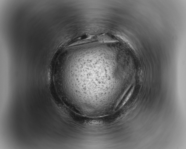 X0000093170546200710171230