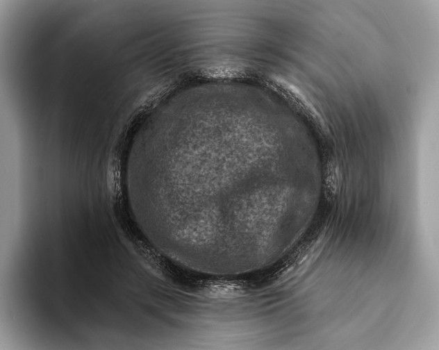 X0000093170547200710171230