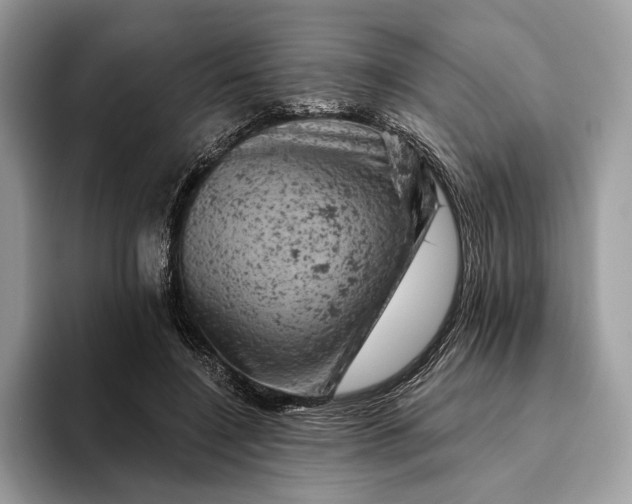 X0000093170548200710171230