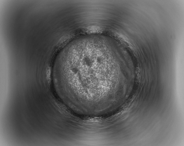 X0000093170550200710171230