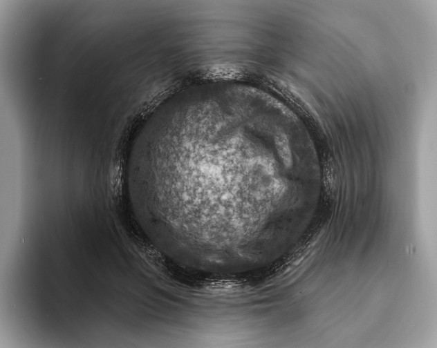 X0000093170551200710171230